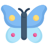 Schmetterling icon