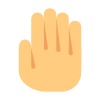 Stop Gesture icon