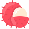 Rambutan icon