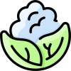 Chou-fleur icon