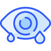 Eye icon