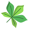 Horse Chestnut Leaf icon