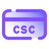 Код защиты CSC icon