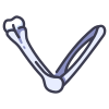 Anatomy icon