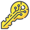 Key icon