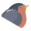 Robin icon