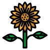 Girasol icon