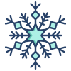 Schneeflocke icon