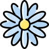 Daisy icon