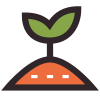 Sprout icon