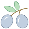 Aceituna icon