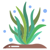 Seaweed icon