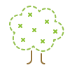 Oak Tree icon