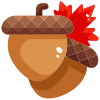 Acorn icon