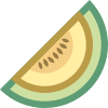 Melón icon