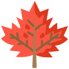 Maple Leaf icon