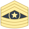 Command Sergeant Major CSM icon