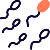 Male sperm for fertilization of egg isolated on a white background icon
