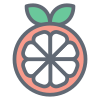 Mandarin icon