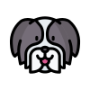 Shih Tzu icon