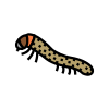 Larvae icon