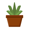 Aloe Vera icon