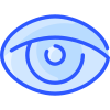 Visibile icon