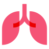 Pulmones icon