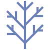 Dry Tree icon