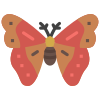 Moth icon