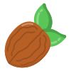 Walnut icon