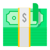 Money icon