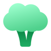 Brocoli icon