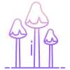 Trippy Mushrooms icon