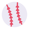 Baseball Ball icon