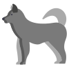 Malamute icon