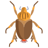 Beetle icon