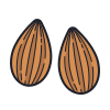 Almond icon