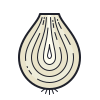 Onion icon