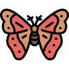 Moth icon