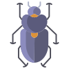 Beetle icon