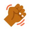 Fist Skin Type 5 icon