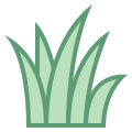 Grass icon