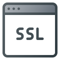 SSL icon