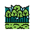 Broadleaf Forests icon