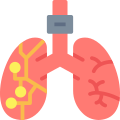 lungs icon