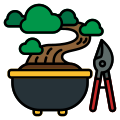 Bonsai icon