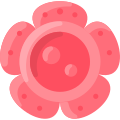 Rafflesia icon