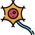 Neuron icon