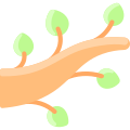 Branch icon